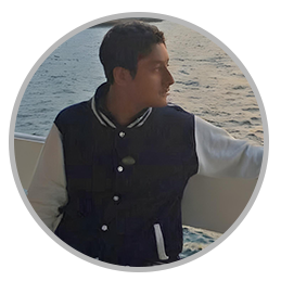 students reviews of professional overseas education consultants